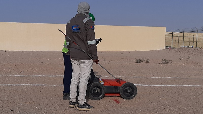 GPR Survey Image
